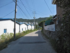 �����̊�