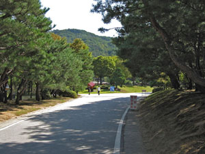 ���ԏ��ʉ߂��Ă���̓�