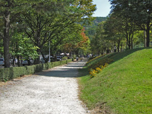 ���ԏꉈ���̓�