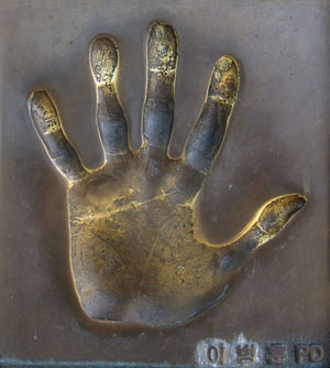 �C�E�r�����t��