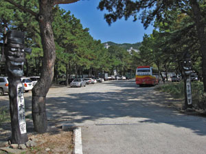 ���ԏ�̓���