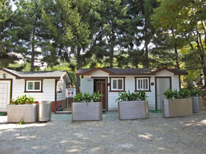 ���ԏ�̉��ɂ���g�C��