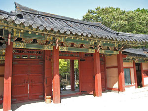 �{�a�̖�i��������j