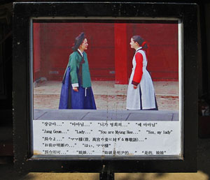 �h���}�V�[���̃p�l��