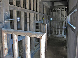 ���Ɂi�I�N�T�j�� 2