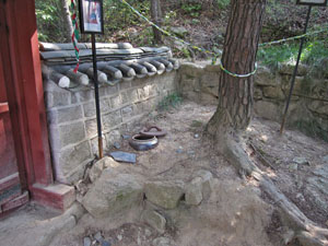 �n�����{�i�T���O���j���`�����O���̎���ƈꏏ�ɖ��߂��`�̐|�������Ă���c�{