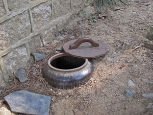 �`�̐|�������Ă���c�{ 