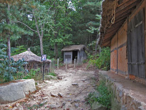 �ь{�i�L���P�C�j�̎����Ɛg���̒Ⴂ�l�̏Z��