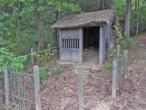 �g���̒Ⴂ�l�̏Z�� 1