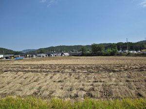 �o�X�₩�猩���k�B�i�����W���j�w�Ƃ͋t�̌i�F 