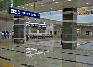 BITPLEX�i�r�b�g�v���b�N�X�j�ɒ������Ă���w�̉��D�B