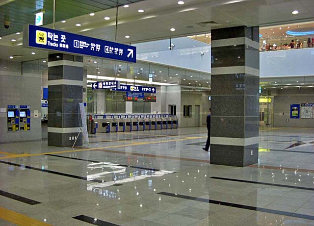 BITPLEX�i�r�b�g�v���b�N�X�j�ɒ������Ă���w�̉��D�B